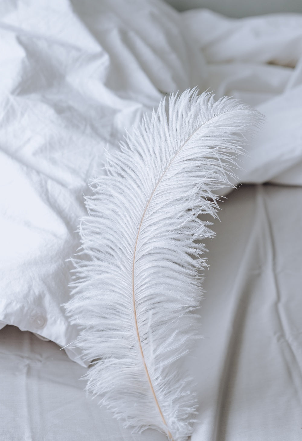 Pillow Case